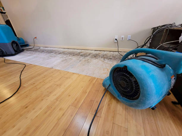 Professional Burst Pipe Water Damage technician working in Poestenkill, NY